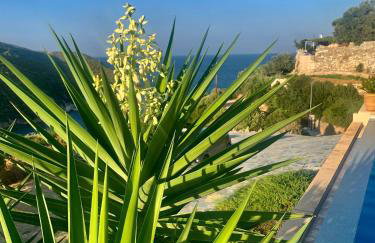 Villa Pebbles - Foto 53