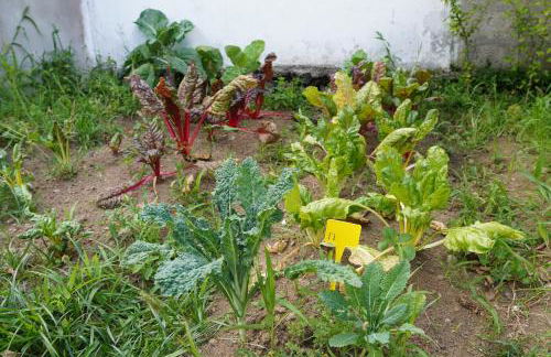 Casa do ti' Marrão - Photo 30