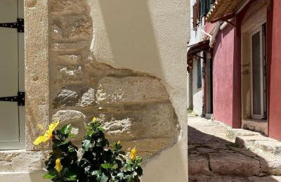 Nio's nest - Foto 20