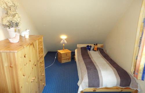 Friesenstern - Foto 16