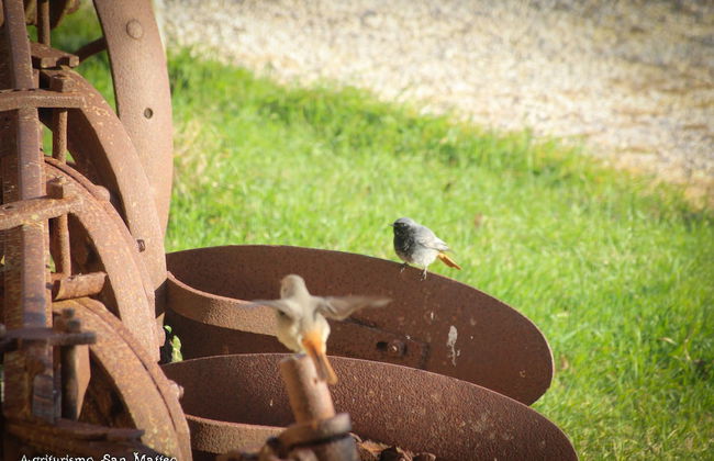 Agriturismo San Matteo - Foto 47