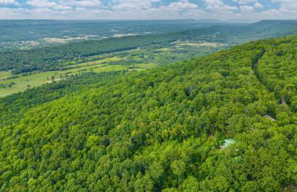 Mountain Retreat Ruby's Roost Home & Loft - Foto 61