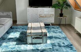 FeWo-Julius am Weser-Sandstrand - Photo 5