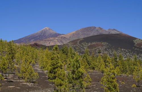 Vista Del Drago - Foto 8