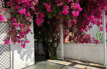 Villa pinelopi - Foto 21