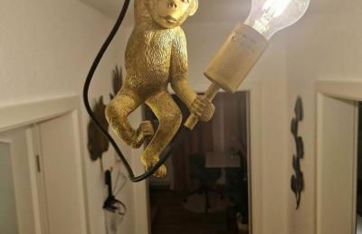 Light Jungle - Innenstadt für 7 Grill Balkon Netflix Waschtrockner - Photo 25