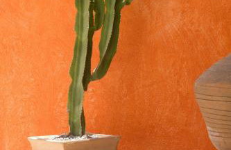 Old Town Charm Casa Historica - Foto 23