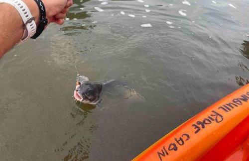 Just the Two of Us RIVER FRONT Luxury Cabin - Foto 74