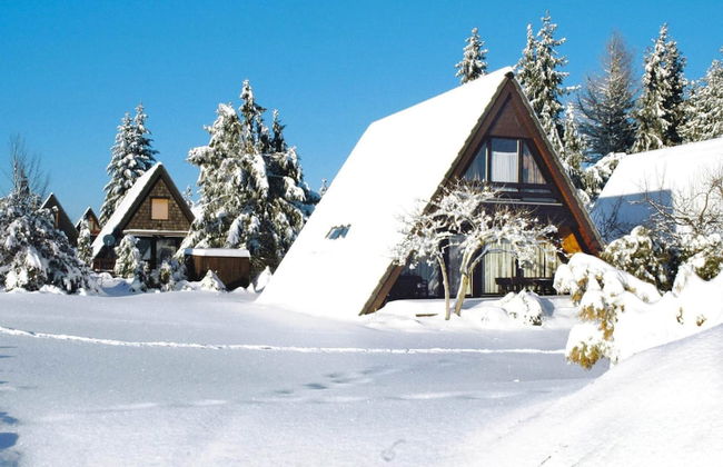 Ferienpark Tennenbronn - Foto 26