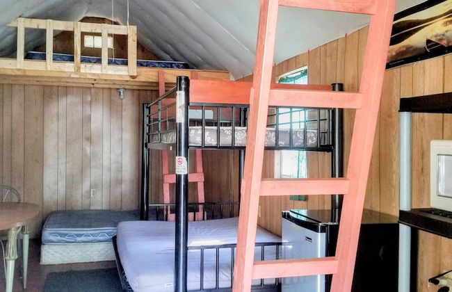 Abrams Creek Center - Foto 11