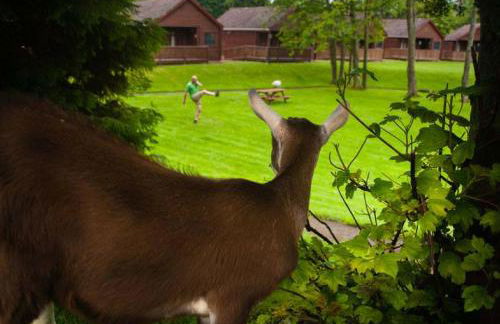 River Edge Lodges - Foto 34