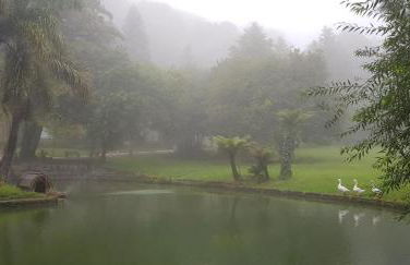 Chalé Vale do Bosque - Foto 31