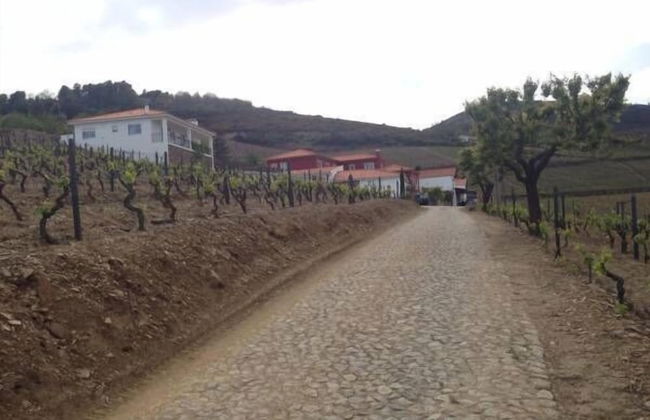Quinta dos Espinheiros - Foto 31