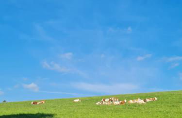 Ferienhaus Valle Verde in Kall-Steinfeld - Foto 35