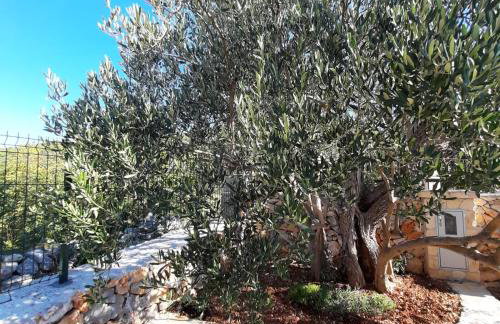 Kuca za odmor Bozena - Photo 10