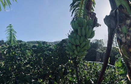 Villa do Monte - Foto 9