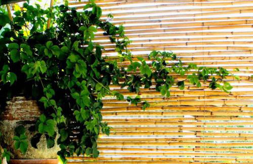 Traditional Stone House at Great Location - Foto 13