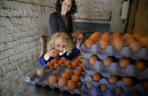 Old Leckie Farmstay - Foto 40