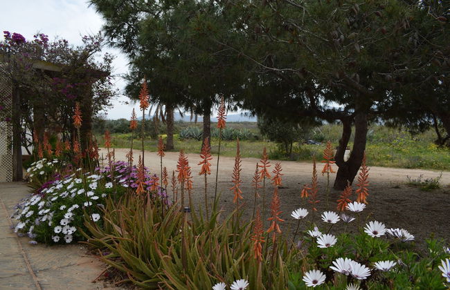 Cortijo la Molina de Cabo de Gata - Foto 52