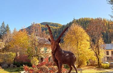 joli studio vue montagne - Photo 13