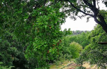 Agriturismo Podere Santa Rita - Foto 19