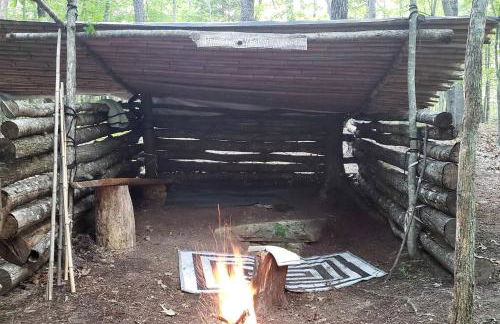 Dreamy Treehouse Cabin Oasis Near Piney River, Tennessee - Foto 24