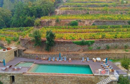 Quinta de Travassinhos- Douro Valley & Spa - Photo 6