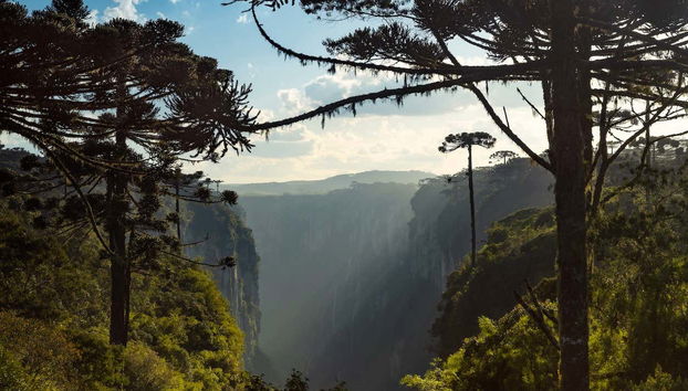 Parco nazionale di Aparados da Serra