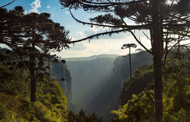 Itaimbezinho Canyon Day Trip - Photo 2