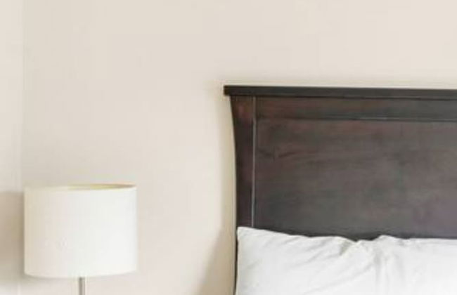 3BR Lakeside Dream Penthouse - Photo 9