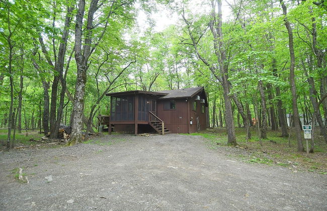 Woods Song - Natures Promise - Foto 28