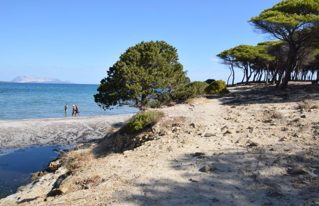 Casa Giardini With View In Budoni - Photo 13