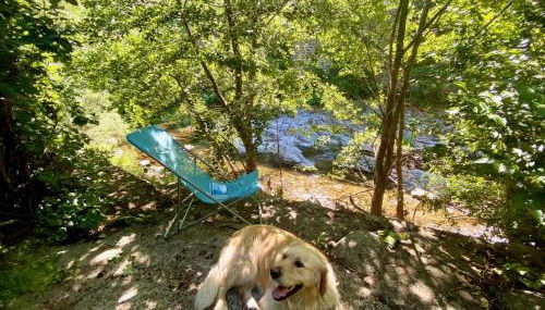 Maison les pieds dans l'eau - Foto 5