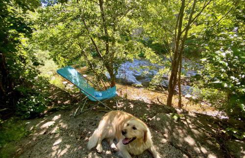 Maison les pieds dans l'eau - Foto 5