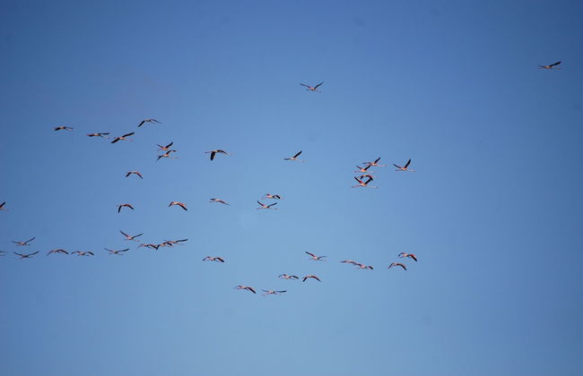 Golden Sands Apartments by Sol Resorts - Photo 31