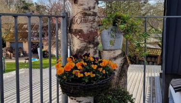 Ferienwohnung Reiners - Foto 3