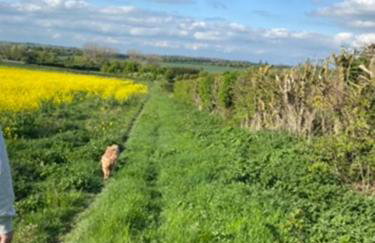 Cosy 18th Century Thatched Country Cottage - 3 bed - Foto 57