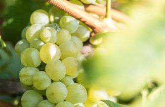 Agriturismo Albarossa - Foto 48