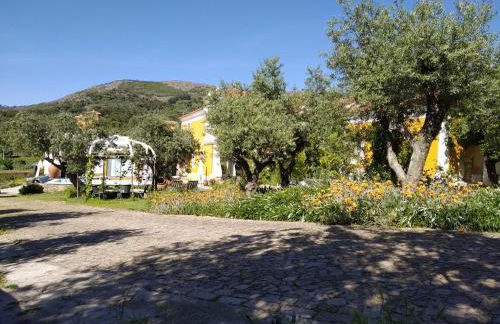 Casa da Paleta - Foto 12