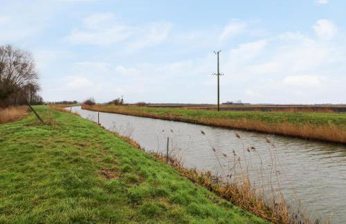 Kingfisher - Foto 25