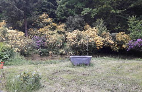 Rapunzel trifft Dornröschen - Foto 28