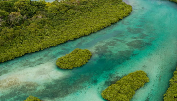 Excursion à Venas Azules et à Playa Blanca