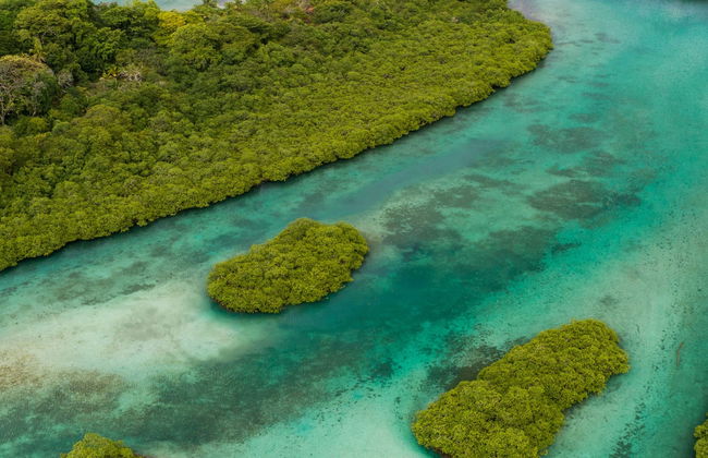 Excursión a Venas Azules y Playa Blanca - Foto 5
