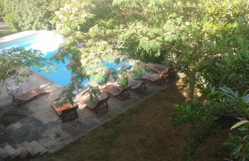 Il Pezzatino - Foto 12