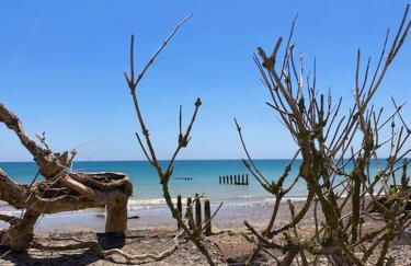 The Barn by the beach at The Well House, Climping - Foto 8