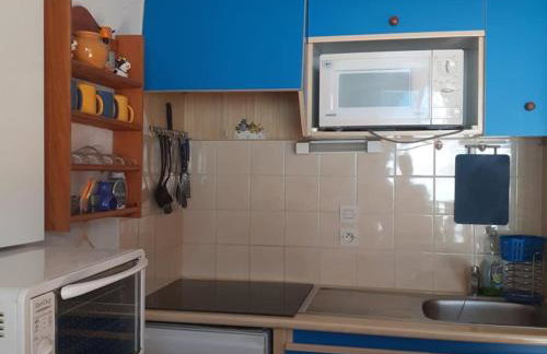 Studio avec balcon sud dans un écrin de verdure, Le Biot - FR-1-573-23 - Foto 11