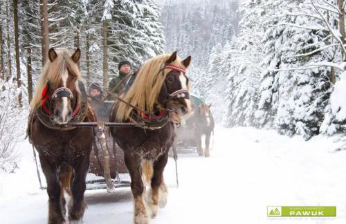 Domek Nad Rozlewiskiem z kominkiem - Foto 33