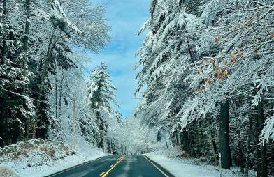 Peaceful Pines Camp on Lower Kimball Pond - Foto 19