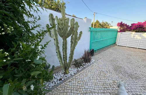 Casa 3 limões - Foto 50