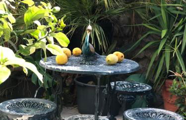 Beautiful Small House in Algarve, Portugal - Foto 14